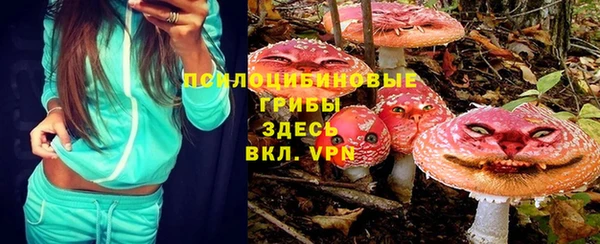 герыч Алексин